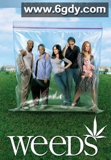 单身毒妈 第一季(2005)完结10集全迅雷网盘全集下载