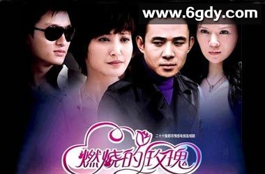 燃烧的玫瑰(2009)完结已完结迅雷网盘全集下载