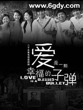 爱是一颗幸福的子弹(2007)完结已完结迅雷网盘全集下载