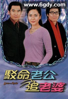 驳命老公追老婆(2004)完结20集全迅雷网盘全集下载
