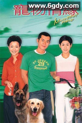 宠物情缘(1999)完结12集全迅雷网盘全集下载