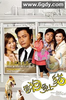 当狗爱上猫(2008)完结20集全迅雷网盘全集下载