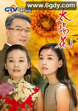 太阳花1998(1998)完结已完结迅雷网盘全集下载