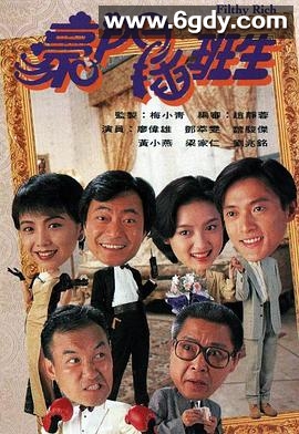 豪门插班生(1994)完结20集全迅雷网盘全集下载