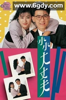 小小大丈夫(1988)完结49集全迅雷网盘全集下载