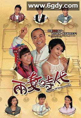 两妻时代(2007)完结20集全迅雷网盘全集下载