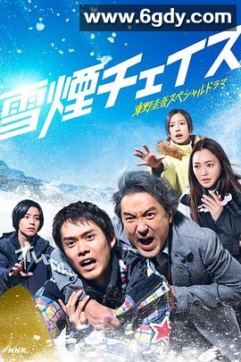 雪湮追逐(2026)完结已完结迅雷网盘全集下载