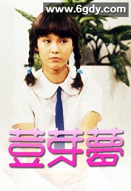 豆芽梦(1981)完结更新至第10集迅雷网盘全集下载