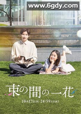 一霎一花(2022)完结已完结迅雷网盘全集下载