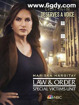 法律与秩序：特殊受害者 第二十二季(2020)完结16集全迅雷网盘全集下载