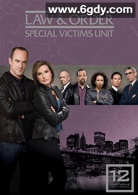 法律与秩序：特殊受害者 第十二季(2010)完结24集全迅雷网盘全集下载