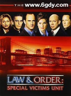 法律与秩序：特殊受害者 第一季(1999)完结22集全迅雷网盘全集下载