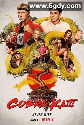 眼镜蛇 第三季(2021)完结10集全迅雷网盘全集下载