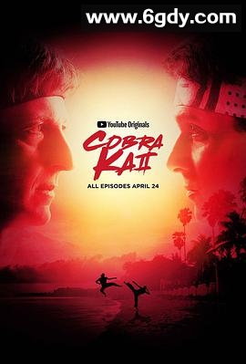 眼镜蛇 第二季(2019)完结10集全迅雷网盘全集下载