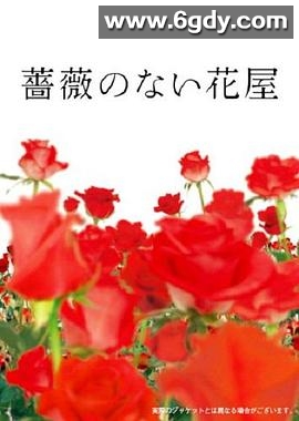 没有玫瑰的花店(2008)完结已完结迅雷网盘全集下载