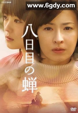 第八日的蝉2010(2010)完结已完结迅雷网盘全集下载