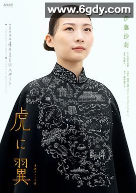 如虎添翼(2024)完结已完结迅雷网盘全集下载