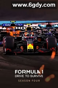 一级方程式：疾速争胜 第四季(2022)完结10集全迅雷网盘全集下载