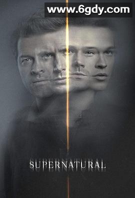 邪恶力量 第十五季(2019)完结20集全迅雷网盘全集下载