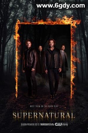 邪恶力量 第十二季(2016)完结23集全迅雷网盘全集下载