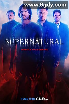 邪恶力量 第十季(2014)完结23集全迅雷网盘全集下载