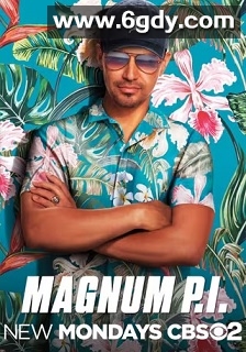 新夏威夷神探 第一季(2018)完结20集全迅雷网盘全集下载