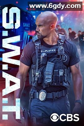 反恐特警组 第六季(2022)完结22集全迅雷网盘全集下载