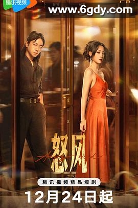怒风(2025)完结全24集迅雷网盘全集下载