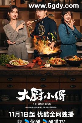 大厨小婿(2025)完结24集全迅雷网盘全集下载
