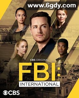 联邦调查局：国际 第四季(2024)完结22集全迅雷网盘全集下载