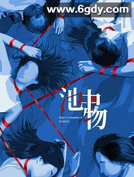 池中物(2026)完结已完结迅雷网盘全集下载