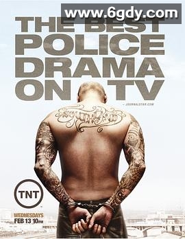 南城警事 第五季(2013)完结10集全迅雷网盘全集下载