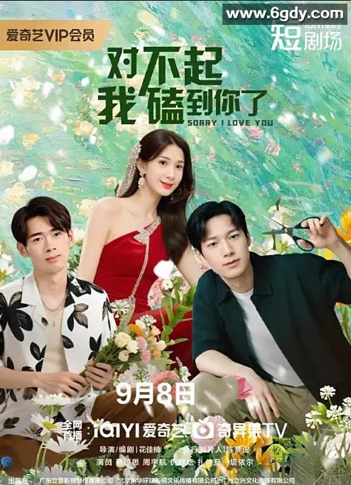 对不起，我磕到你了(2025)完结20集全迅雷网盘全集下载