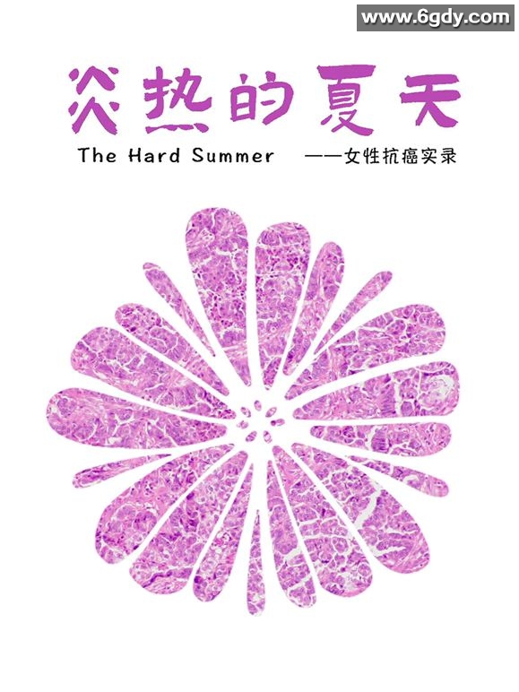 炎热的夏天(2025)完结第5集迅雷网盘全集下载