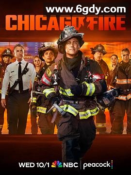 芝加哥烈焰 第十四季(2025)完结更新至第11集迅雷网盘全集下载