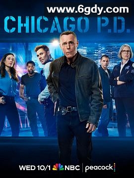 芝加哥警署 第十三季(2025)完结更新至第11集迅雷网盘全集下载