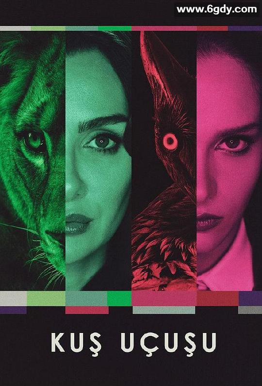 直线篡位 第三季(2024)完结8集全迅雷网盘全集下载