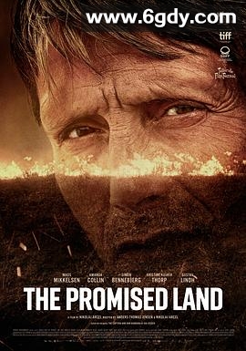 杂种(2023)HD高清迅雷网盘磁力下载