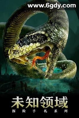 探险手札之未知领域(2020)HD高清迅雷网盘磁力下载