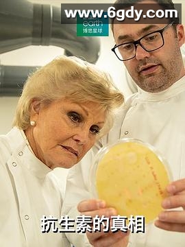 抗生素的真相(2019)HD高清迅雷网盘磁力下载