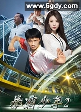 拳霸少年2(2020)HD高清迅雷网盘磁力下载