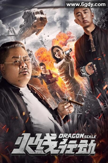 火线行动(2019)HD高清迅雷网盘磁力下载