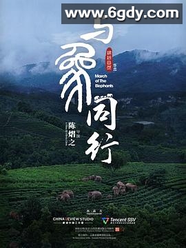 与象同行(2022)HD高清迅雷网盘磁力下载