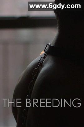 性奴养成记(2018)HD高清迅雷网盘磁力下载