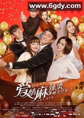 爱情麻辣烫之情定终身(2016)HD高清迅雷网盘磁力下载