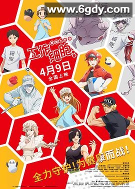 工作细胞：细胞大作战(2020)HD高清迅雷网盘磁力下载