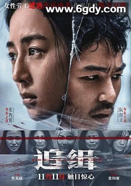 追缉(2022)HD高清迅雷网盘磁力下载