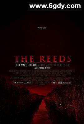 芦苇地(2009)HD高清迅雷网盘磁力下载