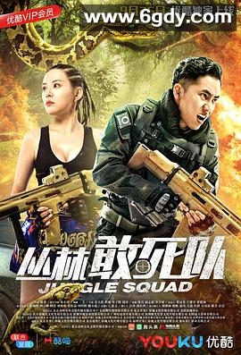 丛林敢死队(2018)HD高清迅雷网盘磁力下载