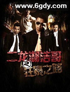 二龙湖浩哥之狂暴之路(2015)HD高清迅雷网盘磁力下载